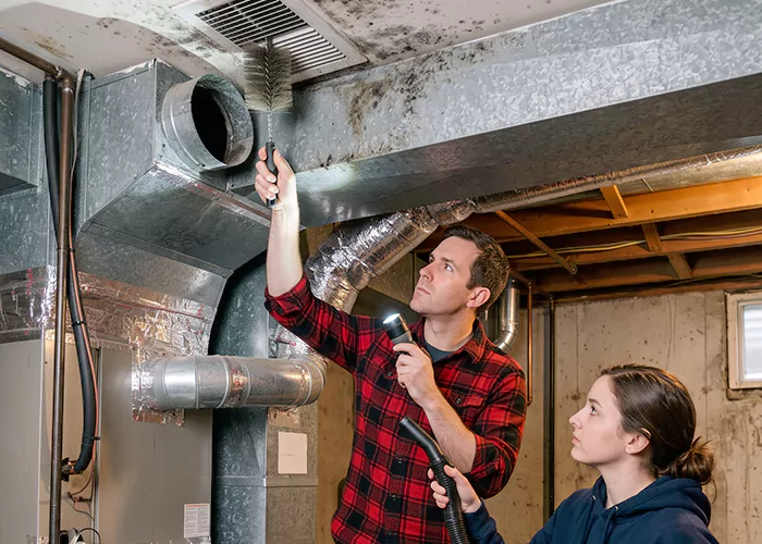 Premier HVAC Mold Remediation Company in San Antonio